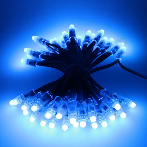 Mattos Designs™ 12V 12mm Regulated Pixels – Reliable WS2811 LED Pixels